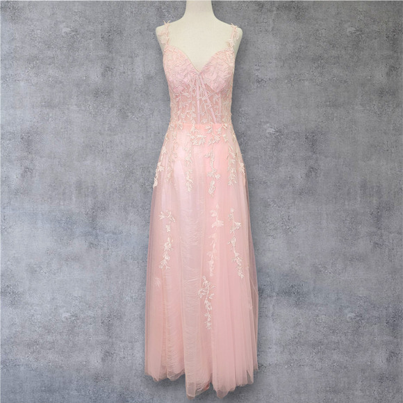 NWT Vine Dress with Semi-Sheer Bodice Corset Back Tulle Skirt Ballet Pink - Picture 1 of 14